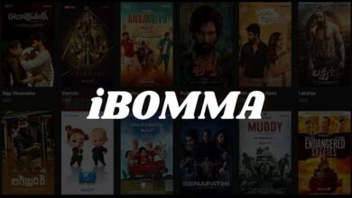 iBomma Download App